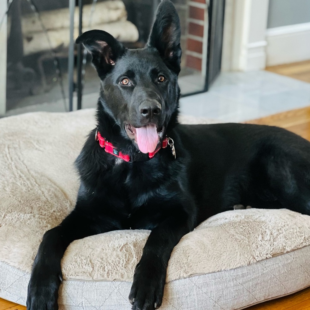 Meet your Posher, *andovergem